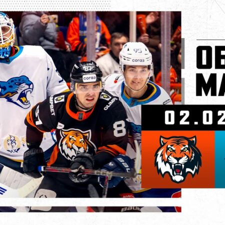 Анализ статистических показателей хоккеистов КХЛ в сезоне 2024/2025