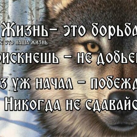 От борьбы за жизнь до борьбы за лучшую жизнь: история «Чеченского волка» Артура Биярсланова