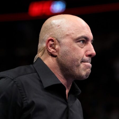 Джо Роган возвращается к комментированию UFC 313