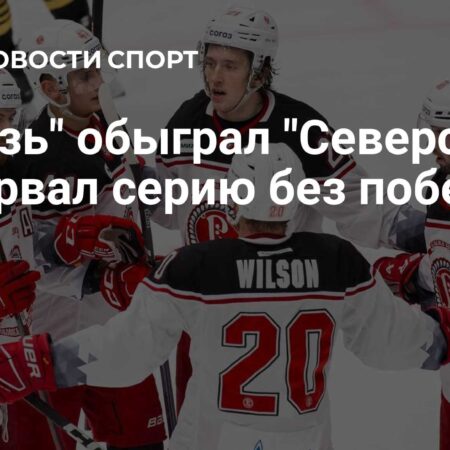 «Северсталь» разгромила «Витязь», прервав серию неудач