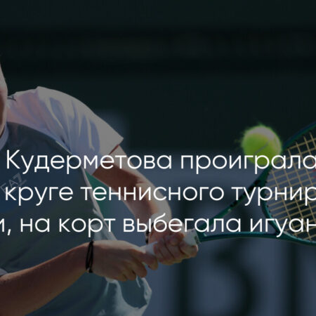 Игуана стала неожиданной гостьей на теннисном матче в Майами