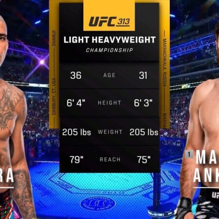 UFC 313: Предварительный обзор главного боя Перейра против Анкалаева
