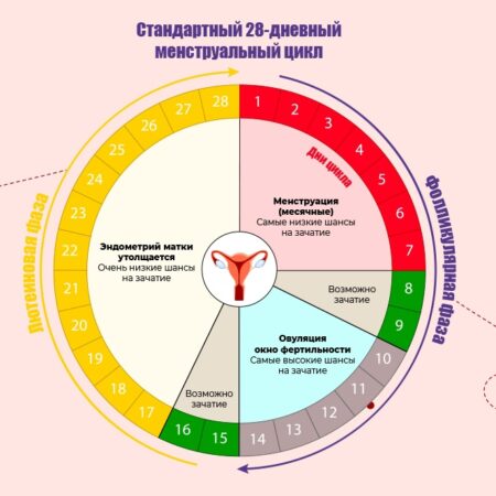 Терри Харпер: Как менструальный цикл влияет на сгонку веса в боксе
