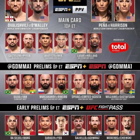 Анонс основного карда турнира UFC 317