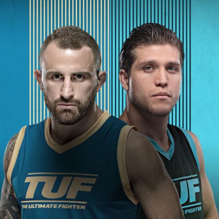 Обзор 5-го Эпизода The Ultimate Fighter 33: Победа Идриса и Ход Турнира