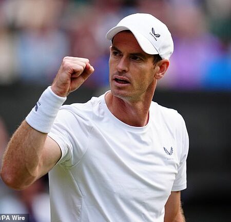 Джек Дрейпер — в числе топ-сеяных на Уимблдоне, а Энди Маррей избегает комментариев о нем