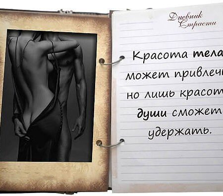 Дневник из Каракаса: Лапы, Страсть и Тихая Уверенность