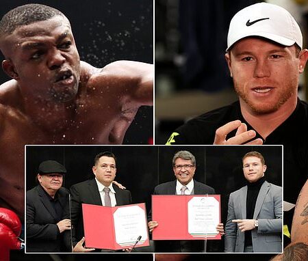 Обзор обновленных рейтингов WBC: Канело Альварес возвращается, а Мозес Итаума стремительно поднимается