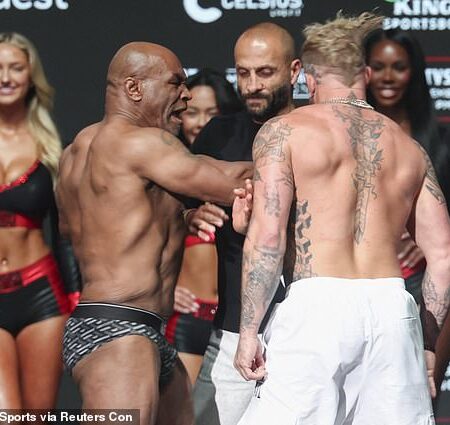 Коллинз и Лоренте готовы к финальному элиминатору WBC после успешного взвешивания