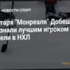 Вратарь «Монреаля» Добеш стал первой звездой прошедшей недели в НХЛ