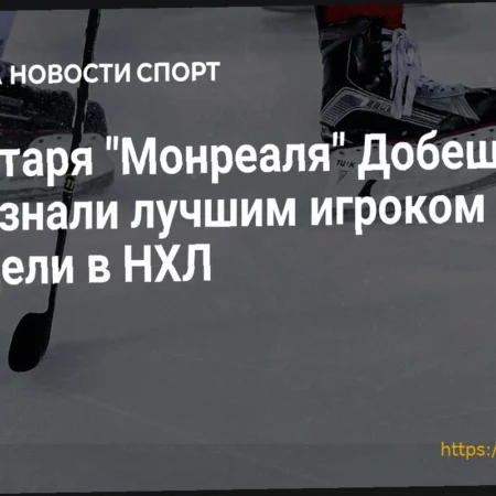 Вратарь «Монреаля» Добеш стал первой звездой прошедшей недели в НХЛ