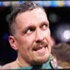 Александр Усик, вероятно, откажется от титула WBC после защиты 23 мая
