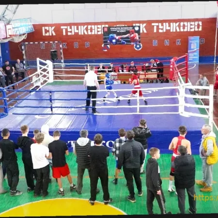 В Тучково успешно прошло Открытое первенство Рузского городского округа по боксу