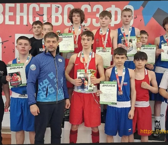 Сборная Архангельской области по боксу завоевала 13 медалей на первенстве СЗФО