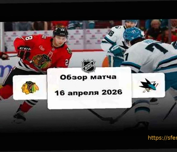 «Чикаго» одолел «Сан-Хосе» в матче НХЛ