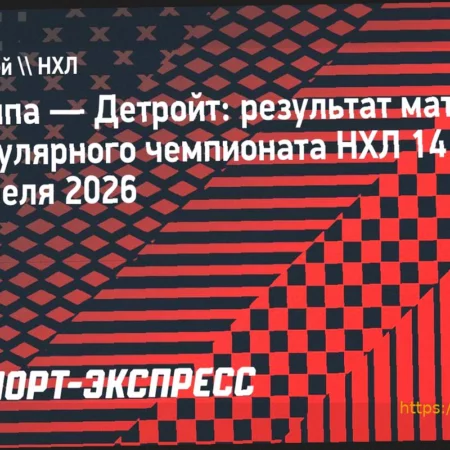 Итоги игрового дня НХЛ: «Тампа» и «Сиэтл» одержали победы, другие результаты